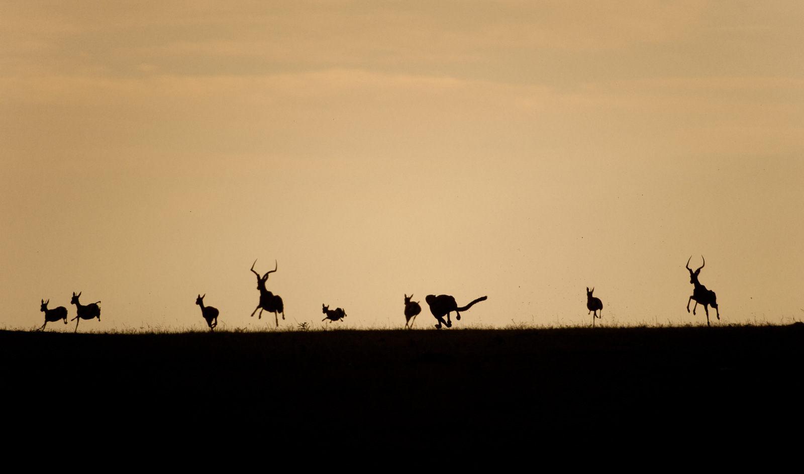 Kalyan Varma - a Bangalore based Natural history filmmaker, photographer and conservationist 8 Talentsofworld Articles | www.talentsofworld.com