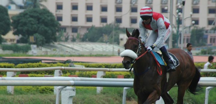 Suraj Narredu - an Indian jockey. 8 Talentsofworld Articles | www.talentsofworld.com