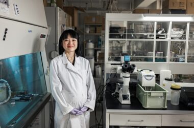 Japan’s rising research stars: Yasuka Toda 20 Talentsofworld Articles | www.talentsofworld.com