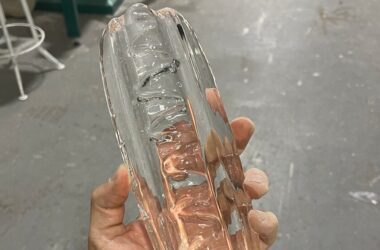 394 Hot Dog Ice Sculptures Later, He Quit His Day Job 14 www.talentsofworld.com | Talentsofworld Articles