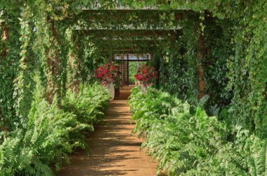 Make Sparks Fly at 5 Romantic Getaways 18 www.talentsofworld.com | Talentsofworld Articles