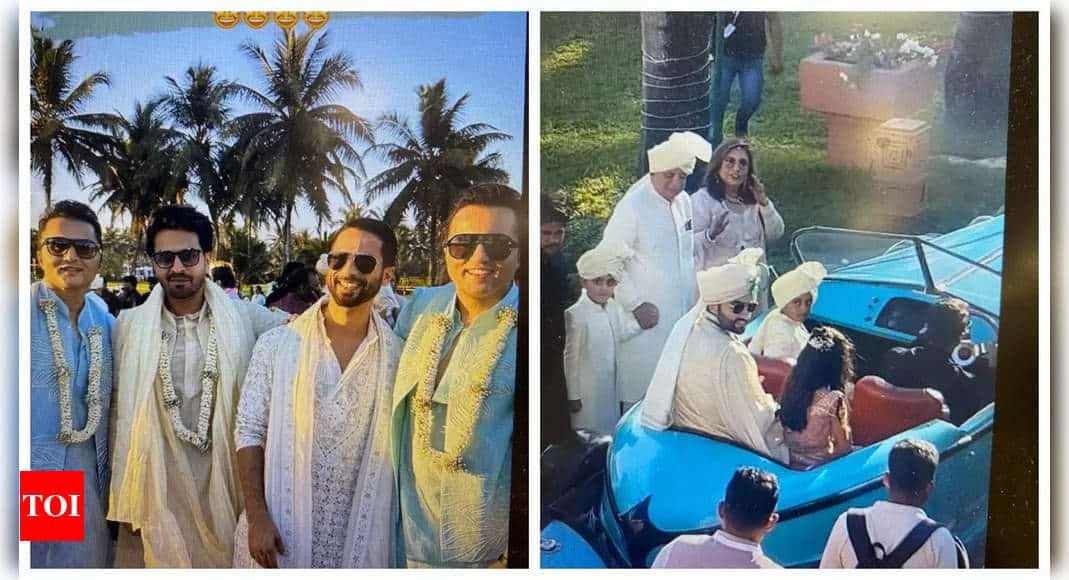 Jackky Bhagnani's Grand Wedding in Goa: Celebrities Attend the Intimate Ceremony | - Times of India 8 Jackky Bhagnani's Grand Wedding in Goa: Celebrities Attend the Intimate Ceremony | - Times of India