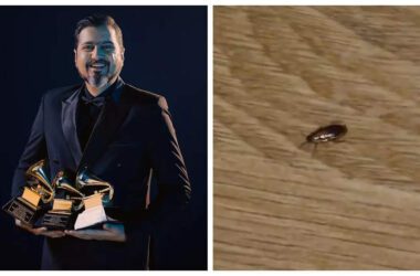 Grammy winner Ricky Kej details harrowing stay at budget hotel; shares video of cockroach in room | - Times of India 16 Grammy winner Ricky Kej details harrowing stay at budget hotel; shares video of cockroach in room | - Times of India