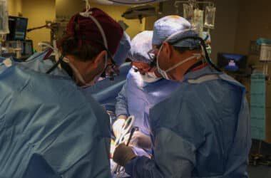 Surgeons Transplant Pig Kidney Into a Patient, a Medical Milestone