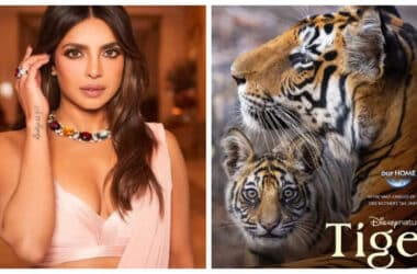 Priyanka Chopra announces new film 'Tiger': I had so much fun lending my voice to this incredible story | - Times of India 17 Priyanka Chopra announces new film 'Tiger': I had so much fun lending my voice to this incredible story | - Times of India
