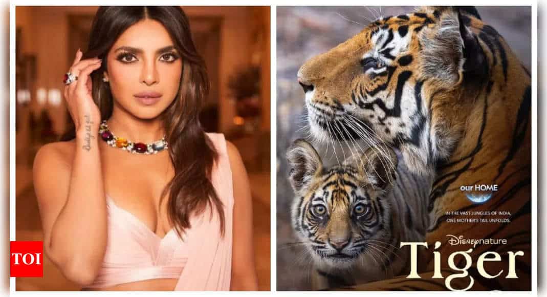 Priyanka Chopra announces new film 'Tiger': I had so much fun lending my voice to this incredible story | - Times of India 8 Priyanka Chopra announces new film 'Tiger': I had so much fun lending my voice to this incredible story | - Times of India