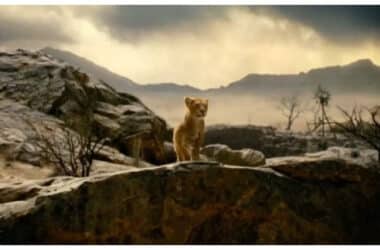 'Mufasa: The Lion King': Barry Jenkins shares first look of live-action Lion King prequel | - Times of India 17 'Mufasa: The Lion King': Barry Jenkins shares first look of live-action Lion King prequel | - Times of India