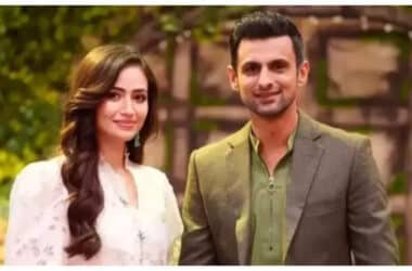 Shoaib Malik and Sana Javed engage in social media PDA amid Nawal Saeed’s 'flirty DMs' claims - See posts | - Times of India