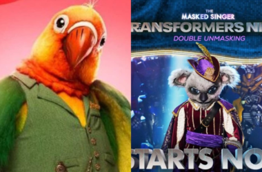 The Masked Singer Season 11: Who are the celebrities under Koala and Love Bird's costumes on Transformers Night?