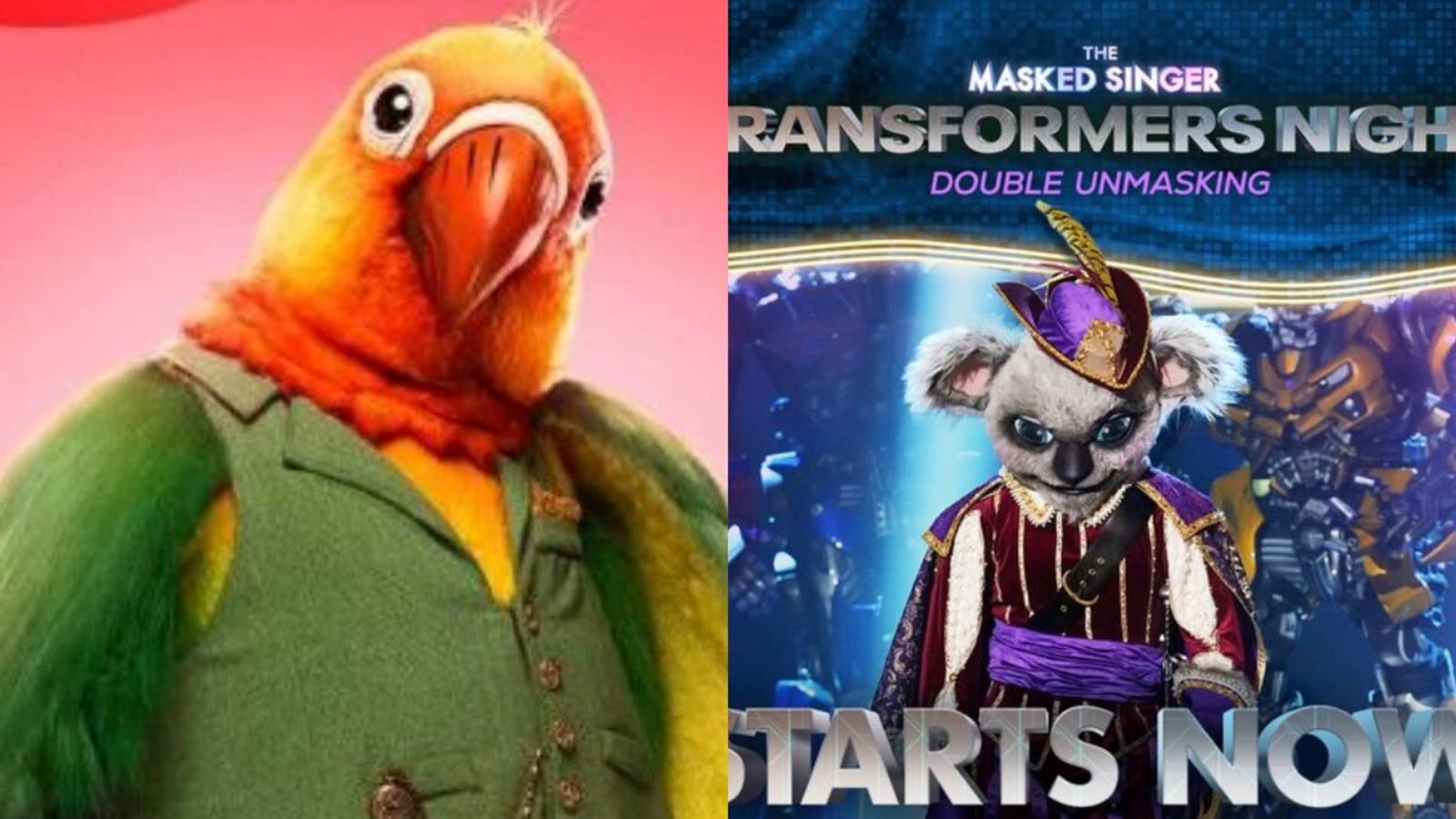 The Masked Singer Season 11: Who are the celebrities under Koala and Love Bird's costumes on Transformers Night?