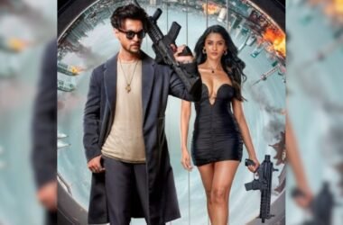 Ruslaan Box Office Collection Day 3: Aayush Sharma's Film's Weekend 1 Report Card
