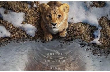 Mahadev betting app case: Sahil Khan evaded arrest for 4 days; lawyer says actor has been 'FRAMED' | - Times of India 18 Mahadev betting app case: Sahil Khan evaded arrest for 4 days; lawyer says actor has been 'FRAMED' | - Times of India