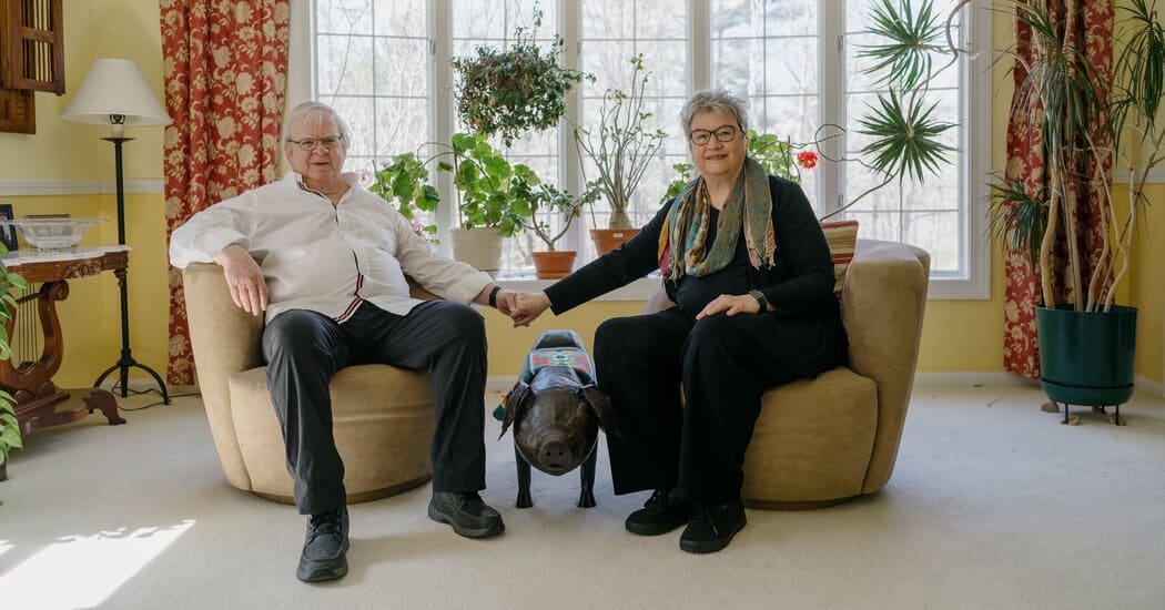 ‘Aging in Place, or Stuck in Place?’
