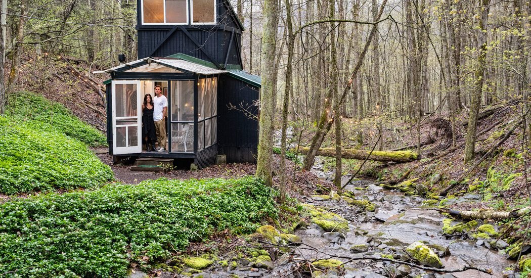 They Found a Rare Species in the Wild: an Original Bolt-Together House