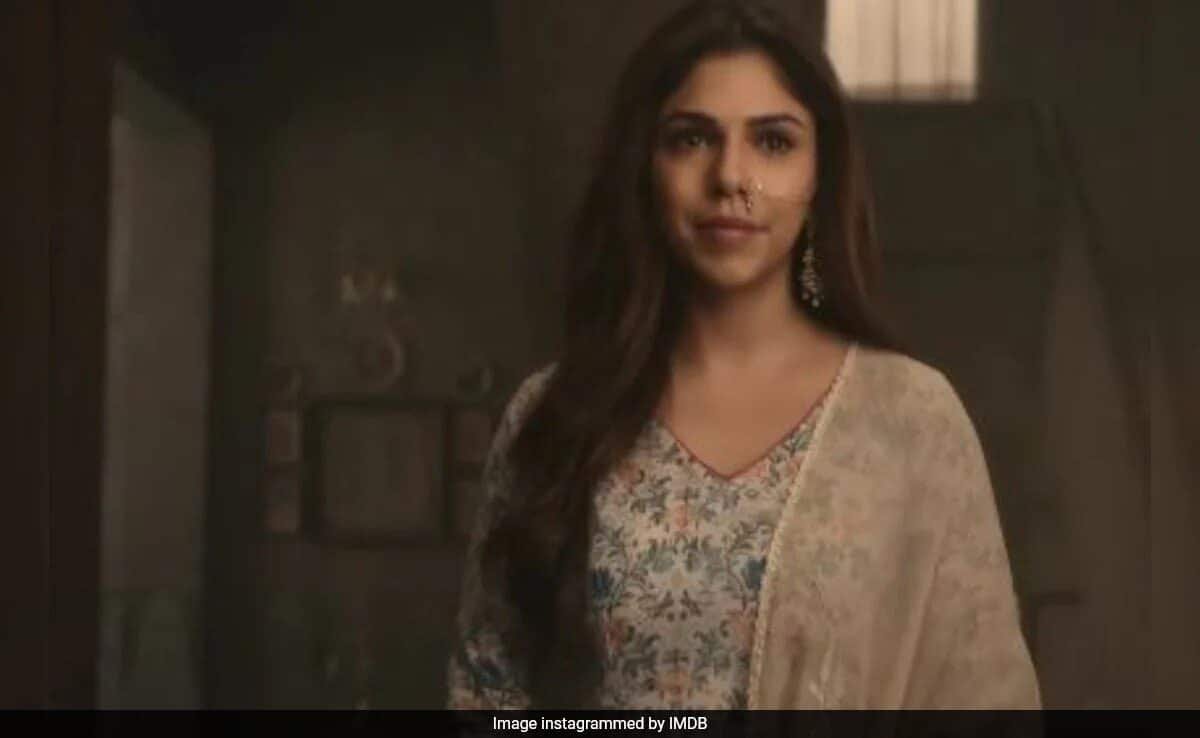 Heeramandi Actor Sharmin Segal Disables Instagram Comments After Being Trolled For Her