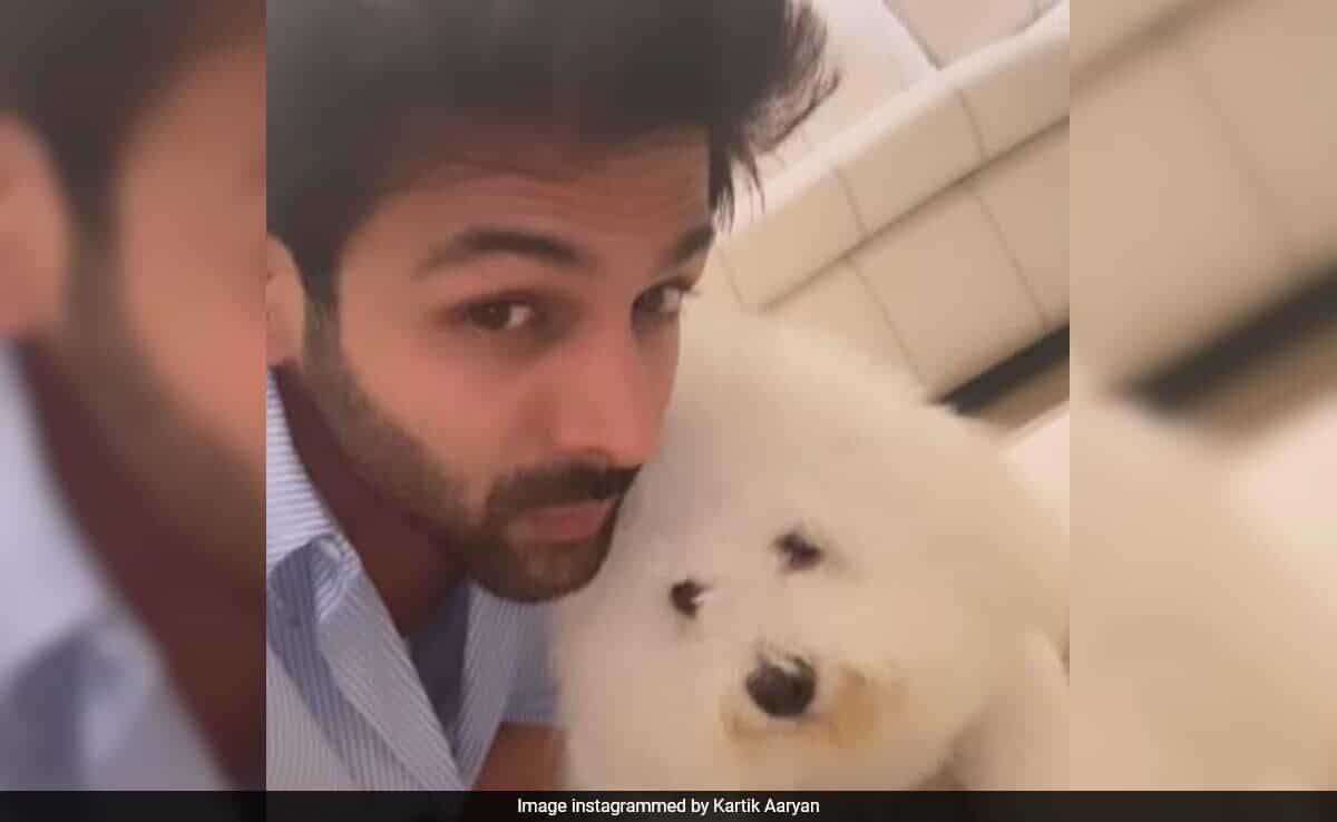 Inside Kartik Aaryan And Pet Pooch Katori