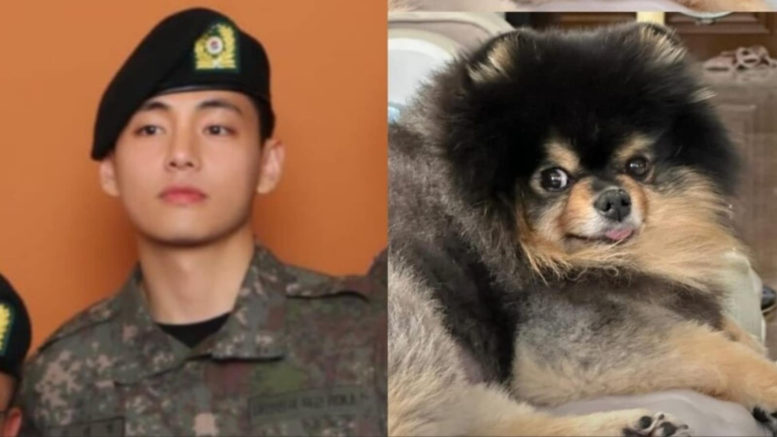 BTS' V shares pic of his ‘current situation’, gives glimpse of pet Yeontan; fans say: Kim Taehyung came home