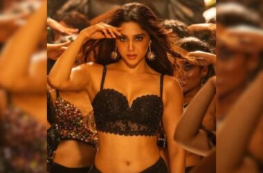 Munjya Box Office Collection Day 3: Progress Report On Sharvari's Film 7 Munjya Box Office Collection Day 3: Progress Report On Sharvari