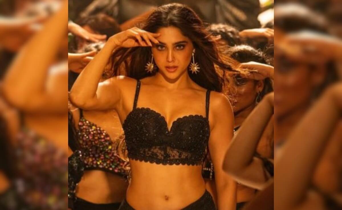 Munjya Box Office Collection Day 3: Progress Report On Sharvari