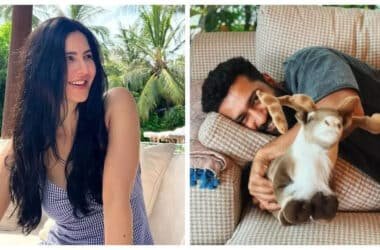 Katrina Kaif turns photographer for husband Vicky Kaushal as they spend a 'lazy Sunday' together - See inside | - Times of India
