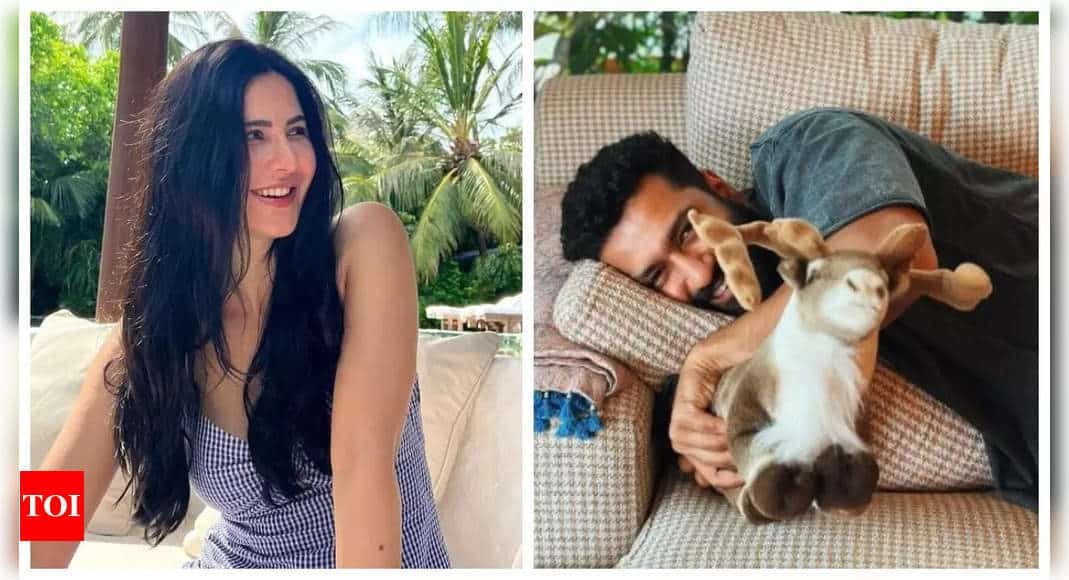 Katrina Kaif turns photographer for husband Vicky Kaushal as they spend a 'lazy Sunday' together - See inside | - Times of India