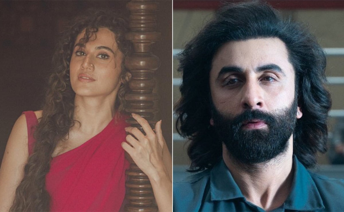 Taapsee Pannu Reveals She Would Have Agreed To Star In Animal 'On Paper' Taapsee Pannu Reveals She Would Have Agreed To Star In Animal 'On Paper'