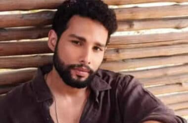 Siddhant Chaturvedi Reveals His Desire to Star in 'Don 3' | - Times of India 16 Siddhant Chaturvedi Reveals His Desire to Star in 'Don 3' | - Times of India