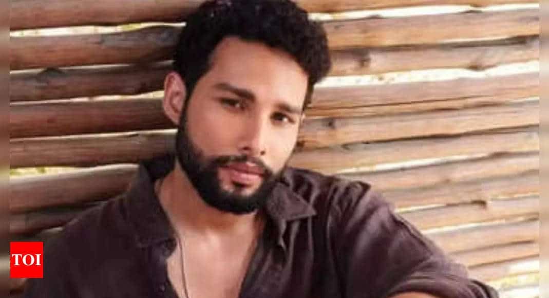 Siddhant Chaturvedi Reveals His Desire to Star in 'Don 3' | - Times of India
