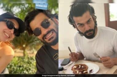 To Sunny Kaushal, Adorable Birthday Wishes From Rumoured Girlfriend Sharvari, Vicky Kaushal And Katrina Kaif 14 To Sunny Kaushal, Adorable Birthday Wishes From Rumoured Girlfriend Sharvari, Vicky Kaushal And Katrina Kaif