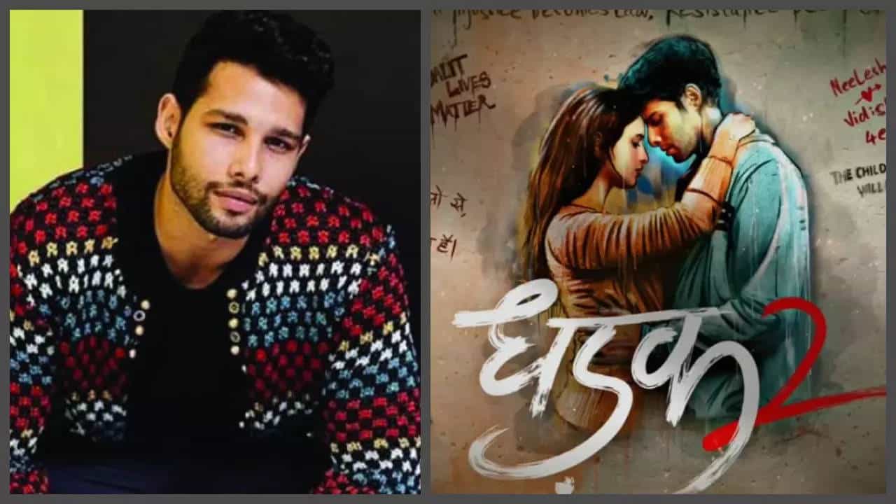 Siddhant Chaturvedi reveals he kept insisting Karan Johar before bagging 'Dhadak 2': 'There is no shame in asking for work' | - Times of India