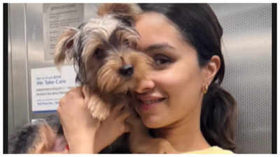 ‘Stree’ star Shraddha Kapoor shares the most adorable Navratri wishes with her 'Little Kanchka'