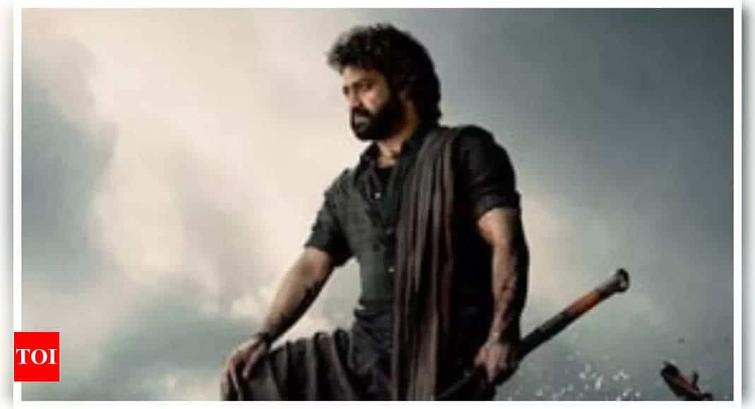 Jr NTR’s Devara crosses Rs 30 crore mark in Hindi in four days - Times of India