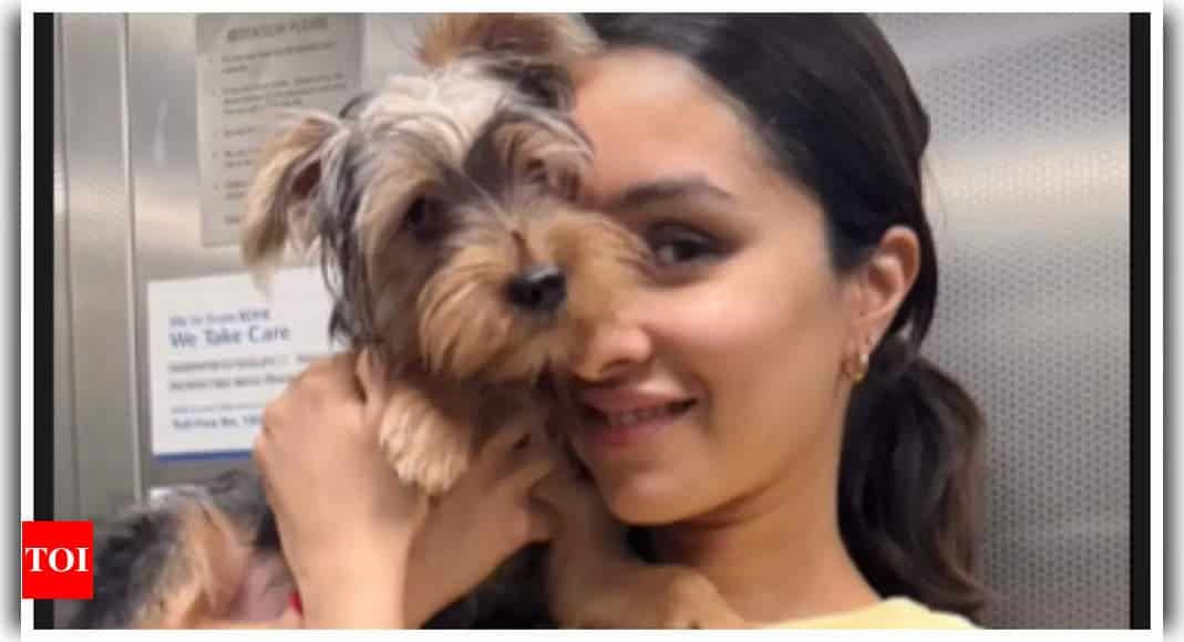 ‘Stree’ star Shraddha Kapoor shares the most adorable Navratri wishes with her 'Little Kanchka' | - Times of India