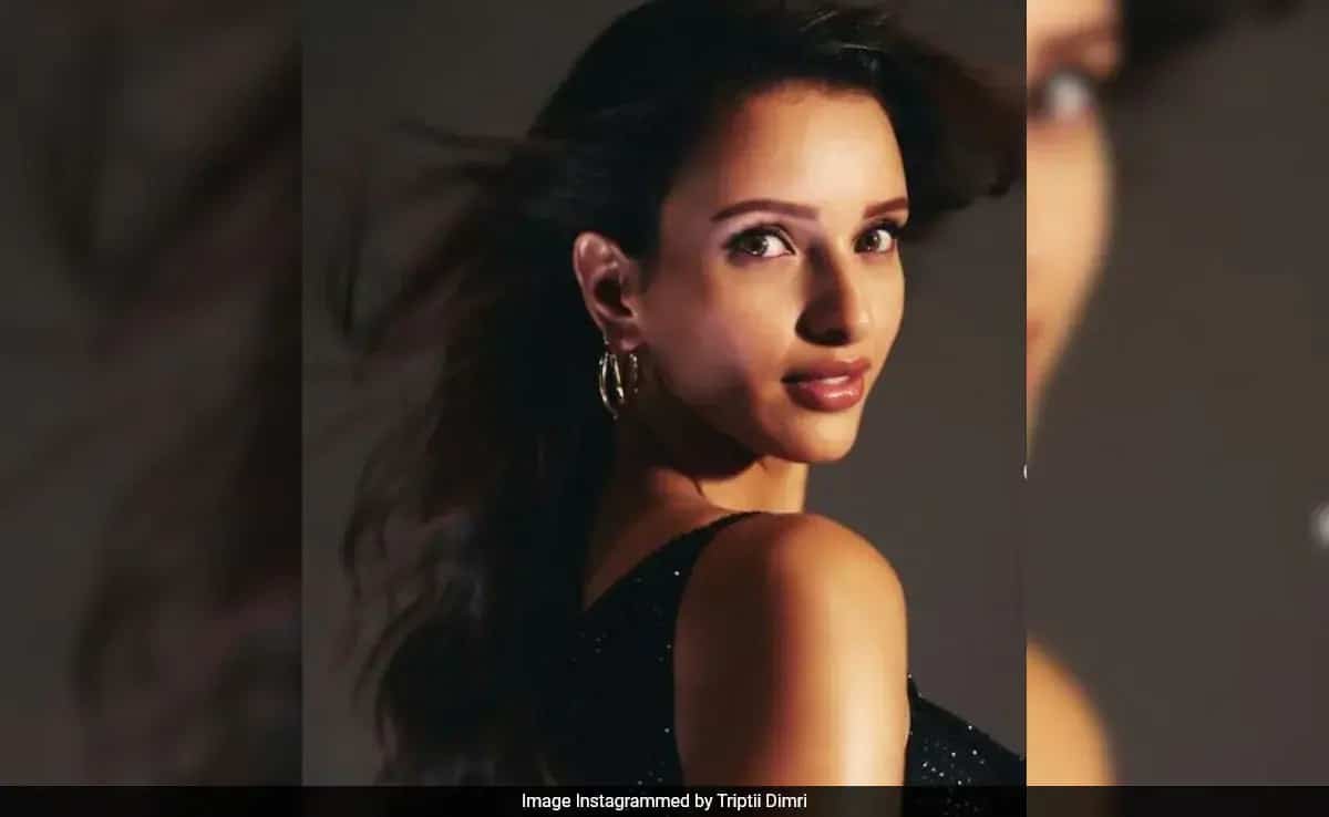 Triptii Dimri Denies Taking Money For Jaipur Event: "No Payments Were Accepted..."
