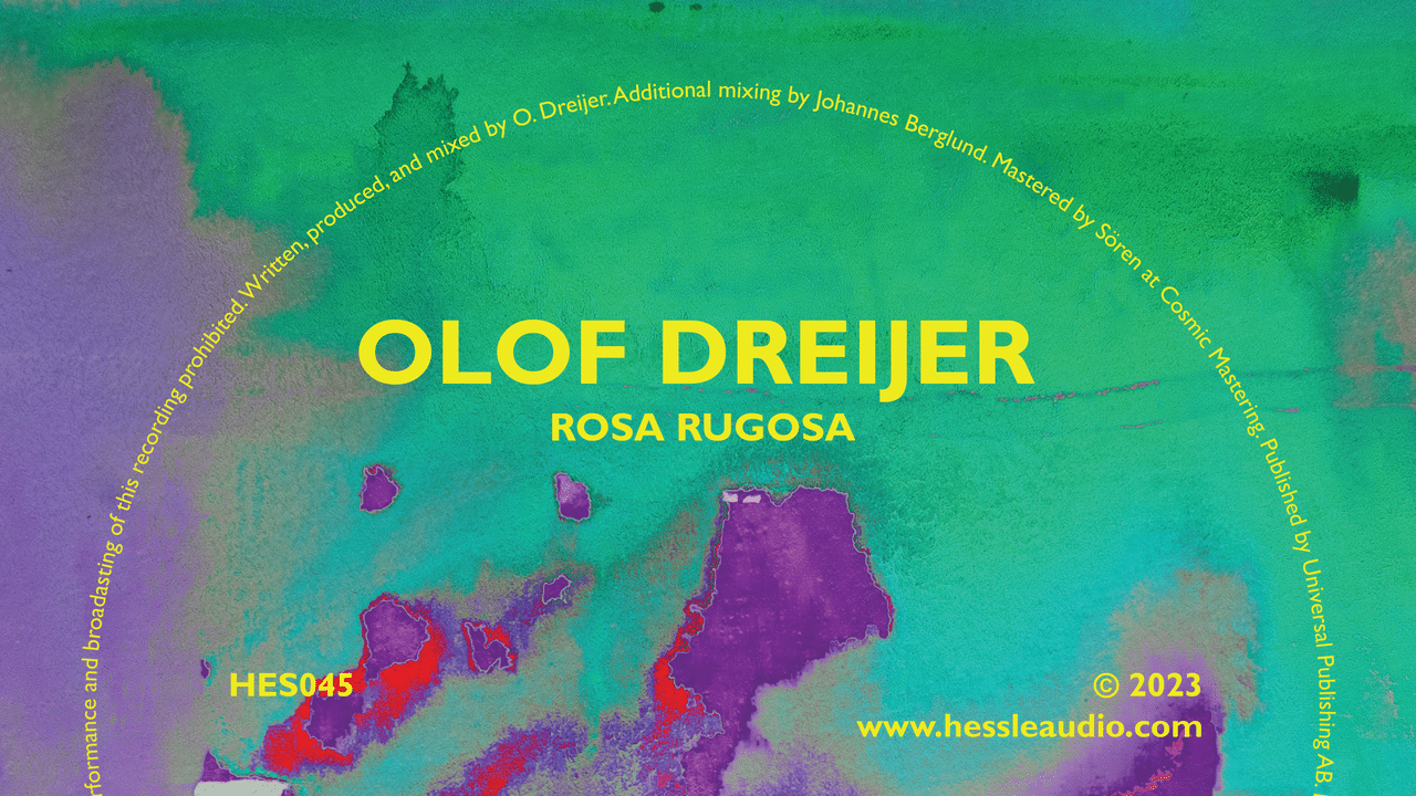 Olof Dreijer: “Rosa Rugosa”
