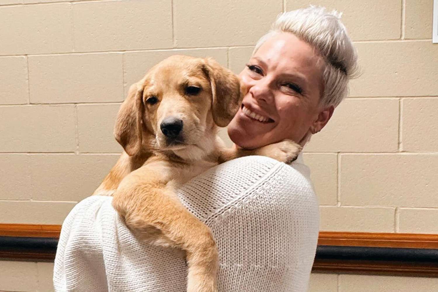 Pink Fosters Puppy on Tour with Hopes of Finding Him a Home Before It Wraps Up