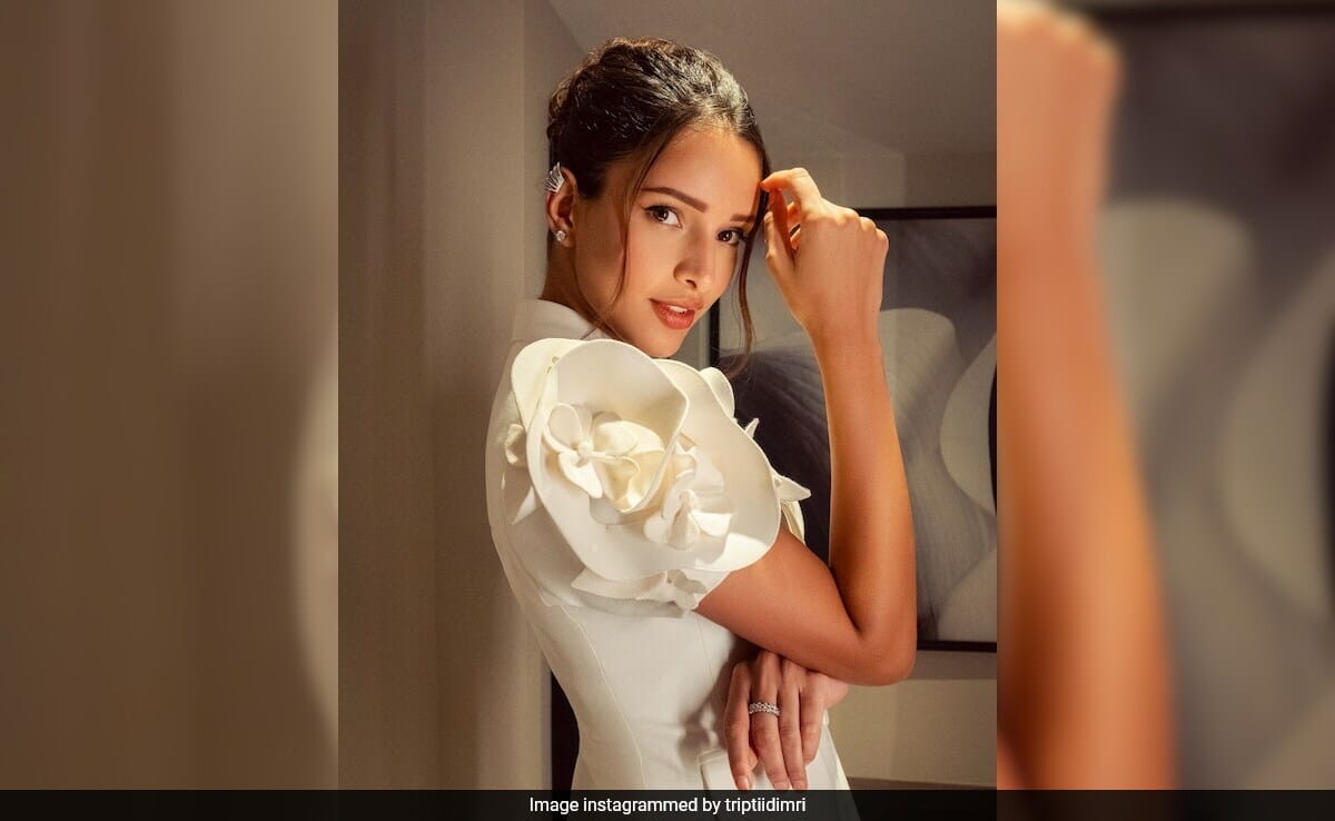 Triptii Dimri On Being Trolled For Dance Moves In Mere Mehboob: "Can't Be Good At Everything"