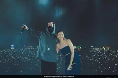 Alia Bhatt X Alan Walker. A Collab We Didn't Know We Needed 16 Alia Bhatt X Alan Walker. A Collab We Didn't Know We Needed