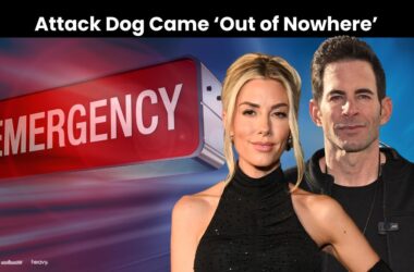 HGTV Stars' Dog Attacked During Weekend Walk: 'We Are Traumatized' 18 HGTV Stars' Dog Attacked During Weekend Walk: 'We Are Traumatized'