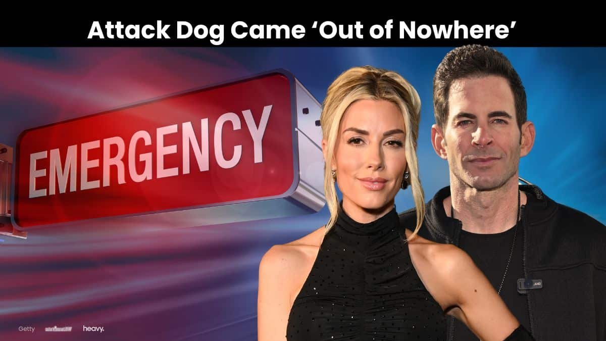 HGTV Stars' Dog Attacked During Weekend Walk: 'We Are Traumatized'