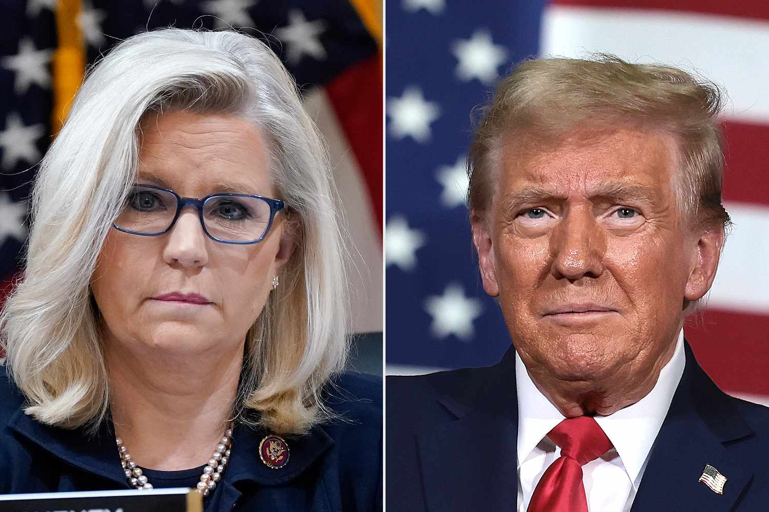 Liz Cheney Sounds Alarm After Donald Trump Suggests She Face Firing Squad: 'How Dictators Destroy Free Nations' 4 Liz Cheney Sounds Alarm After Donald Trump Suggests She Face Firing Squad: 'How Dictators Destroy Free Nations'
