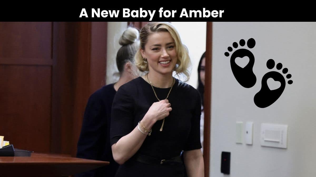 amber heard pregnancy