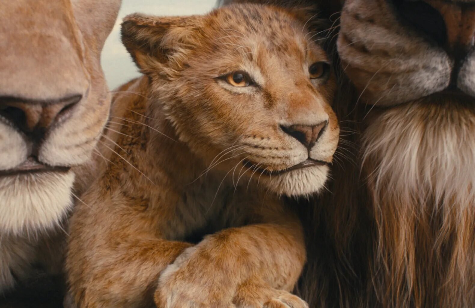 ‘Mufasa,’ or: How the Original Lion King Got His Groove On