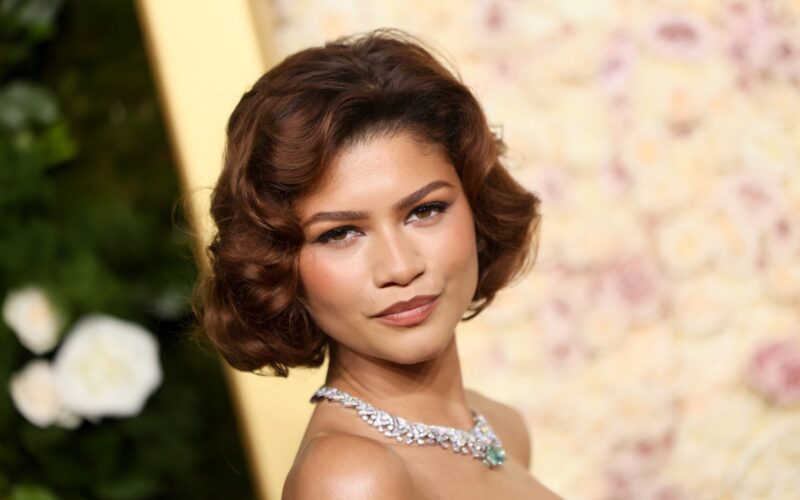 Zendaya Joins Iconic 'Shrek' Franchise As Shrek And Fiona's Teenage Daughter 13 Zendaya Joins Iconic 'Shrek' Franchise As Shrek And Fiona's Teenage Daughter
