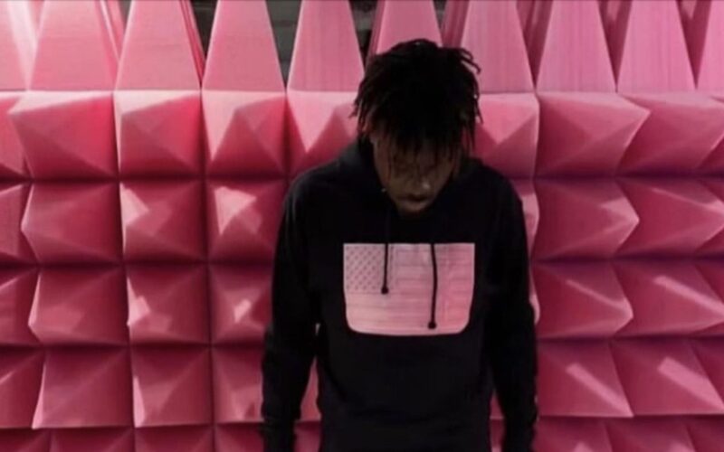 fakemink: âEaster Pinkâ 14 fakemink: âEaster Pinkâ