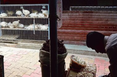 No non-vegetarian food in UP this Eid? Varanasi Authorities issue orders to shut meat shops during Chaitra Navratri | Today News 9 menu