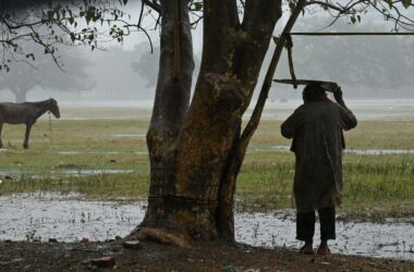 Rain Alert! IMD predicts rainfall in West Bengal, Bihar and THESE states till March 22; details here | Today News 15 Kolkata, India - Feb. 20, 2025: A person takes shelter under a tree to protect from sudden rainfall at Maidan area in Kolkata, India, on Thursday, February 20, 2025.  (Photo by Samir Jana/ Hindustan Times)
