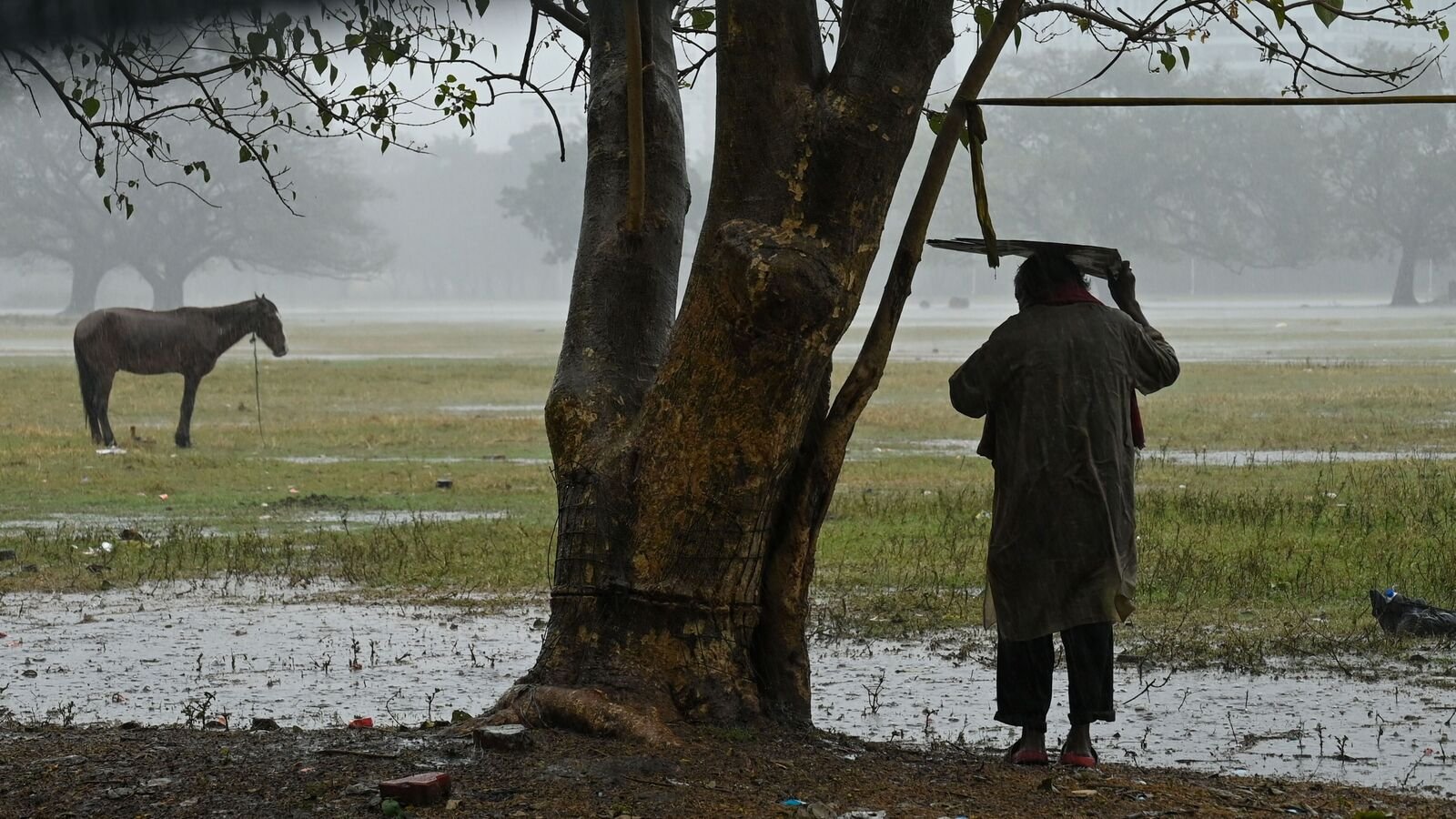 Kolkata, India - Feb. 20, 2025: A person takes shelter under a tree to protect from sudden rainfall at Maidan area in Kolkata, India, on Thursday, February 20, 2025. (Photo by Samir Jana/ Hindustan Times)
