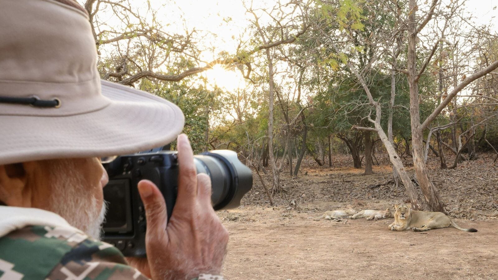 Watch video: PM Modi goes on lion safari in Gujarat’s Gir National Park on World Wildlife Day | Today News