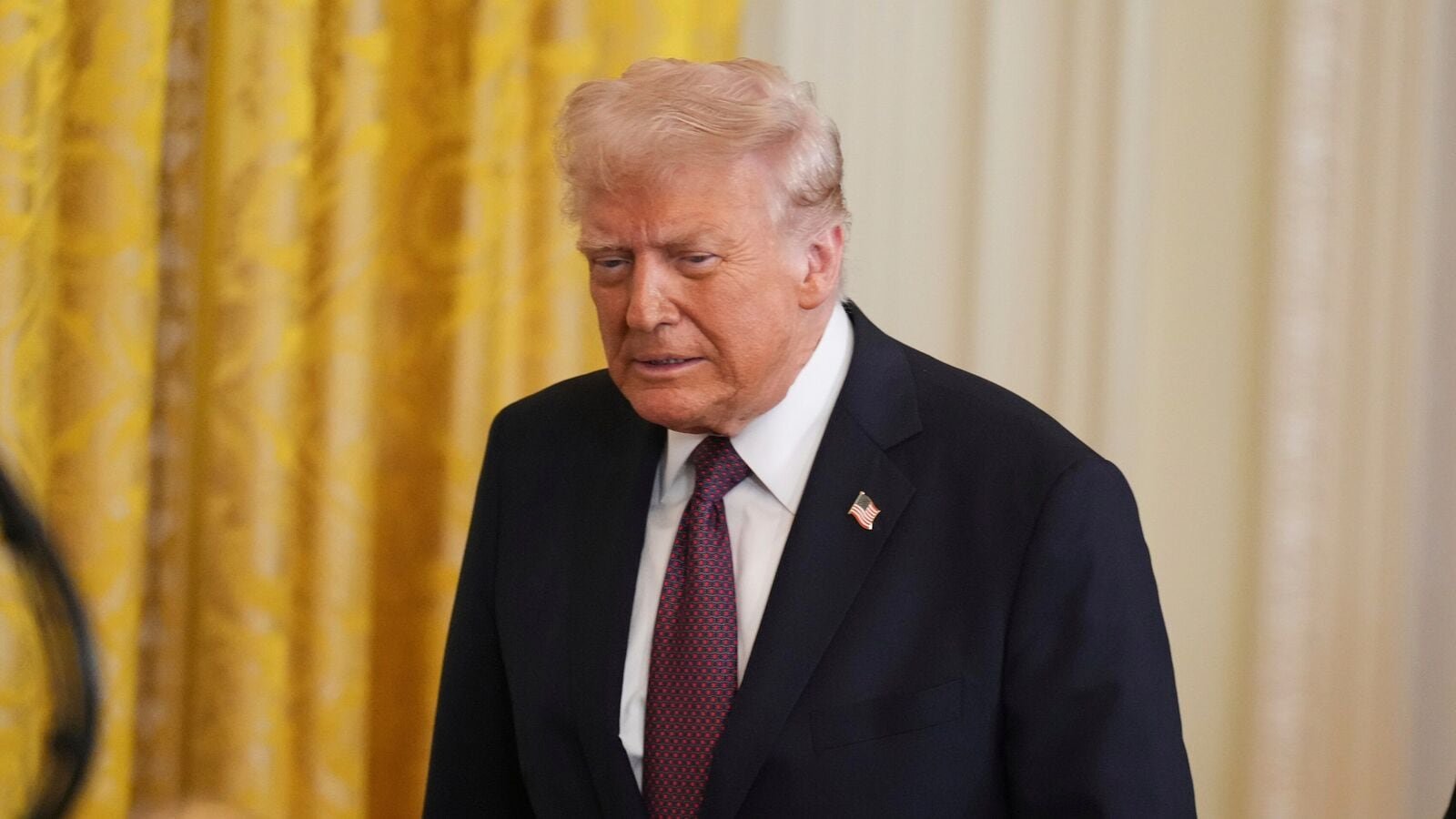‘Trump is stupid’: US President says woman is ’somebody that can have baby...’, gets sharp netizen reaction | Today News